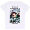 Heroes Inc Official Demon Slayer Whirlpool T-shirt Med Korte ærmer