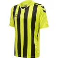 Hummel Core Xk Striped T-shirt Med Korte ærmer