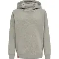 Hummel Red Classic Hættetrøje