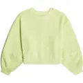 G-Star G-Startil kvinder. D26361-D993-C497 Overdyed Oversized sweatshirt pistaciegrøn (XS), Casual, Økologisk bomuld, Bæredygtig