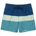 Billabong All Day Stripe Badeshorts
