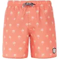 Protest Fonz Badeshorts