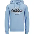 Jack & Jones Logo 2 Col Hættetrøje