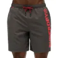 Superdry Superdrytil mænd. M3010248A 43,2 cm svømmedragt med grå, sporty grafik (XL), Badetøj, Genanvendt polister, Bæredygtig