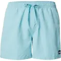 Quiksilver Everyday Beach Volley 15´´ Badeshorts