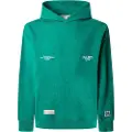 Pepe Jeans Pepe Jeanstil mænd. PM582846 Colville grøn sweatshirt (L), Casual, Bomuld, Bæredygtig