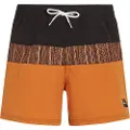 O'Neill Cali Block 15´´ Badeshorts