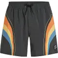 O'Neill O´riginals Longboard 15´´ Badeshorts