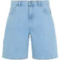 Dickies Herndon Shorts