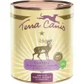 Terra canis 6 x 800 g - Vildt med amarat, græskar & tyttebær