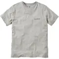 Passenger Made To Roam Recycled Cotton T-shirt grå