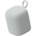 Sony Linkbuds Speaker Lys Grå