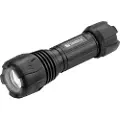 Sandberg Survivor Torch