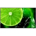NEC Multisync E328-2 32" Ips 400cd/m² 1920 X 1080pixels