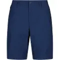 Columbia Leslie Falls Ii Long Shorts