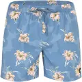 Quiksilver Everyday Straight Volley 15´´ Badeshorts