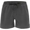 Quiksilver Everyday Surfwash Volley 15 Boardshorts sort