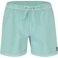 Quiksilver Everyday Surfwash Volley 15´´ Badeshorts