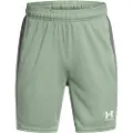 Under Armour Challenger Knit Shorts