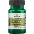 Swanson Health Shilajit-ekstrakt, 100 mg - 30 vegetabilske kapsler