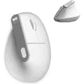 Subblim Nature Vertical Ergo Dual Battery Trådløs Ergonomisk Mus