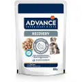 Affinity Advance Veterinary Diets Advance Veterinary Diets Recovery - Økonomipakke: 22 x 100 g