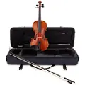 Eastman Strings Eastman Young Master Series+ Violin Outfit Gold Set Up