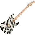 Evh Striped Series Circles Satin Finish