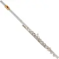 Yamaha YFL312 Student Model Flute Gold Lip Plate