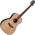 Takamine GY93-NAT New Yorker akustisk guitar natur