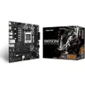 Biostar B650mt Bundkort