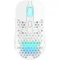 Xtrfy Mus