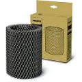 Philips FY1190 - filter - grey