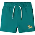 Name it Kort Shorts