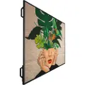 Philips Q-line 86bdl3511q 18/7 86" 400cd/m² 3840 X 2160pixels
