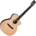 Taylor Guitars Taylor 214ce-N Nylon String Electro Acoustic - Ex Demo