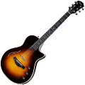Taylor Guitars Taylor T5z Pro Tobacco Sunburst