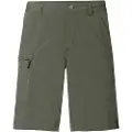 Vaude Farley V Shorts
