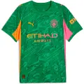 Puma Manchester City 25/26 Goalkeeper Jersey Men, Sport, Archive Green/Heat Fire, XXL