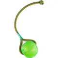 Starmark Swing & Fling Tyggebold