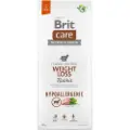 Brit Dog Hypoallergenic Weight Loss kanin - Økonomipakke: 2 x 12 kg