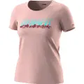 Dynafit Graphic T-shirt Med Korte ærmer