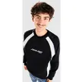 Santa Cruz Strip Front Racer Crew Sweater sort