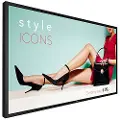 Philips 55BDL4002H H-Line - 55" Class (54.6" viewable) LED-backlit LCD display - Full HD - for digital signage