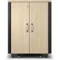 APC Ar4017ia Stativ 17u Fritstående Reol Ahorn Farve, Sort