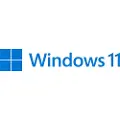 Microsoft Windows 11 Pro Dansi