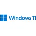 Microsoft Windows 11 Pro For Workstations 1 Licens(er)