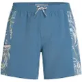 O'Neill O'Riginals Side Panel 16" Boardshorts blå