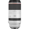 Canon RF 100-500MM F4.5-7.1 L IS USM