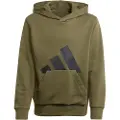 Adidas Essentials Big Logo Hættetrøje